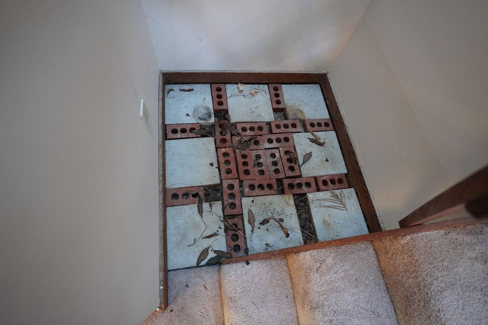 Demo: damaged subfloor, from one of Wesley’s own projects